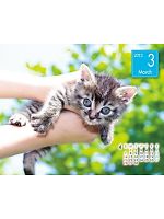 yjtH[Unificez2013NxJ_[/3Bʂ̊zL