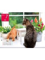 yjtH[̃jtBXz2013NxJ_[/7Bʂ̊zL