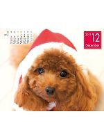 【ユニフォームのユニフィス】2013年度カレンダー/12月A面の感想を記入する