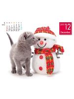 【ユニフォームのユニフィス】2013年度カレンダー/12月B面の感想を記入する
