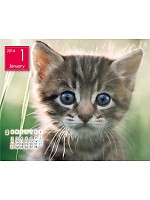 【ユニフォームのUnifice】2014年度カレンダー/1月B面の感想を記入する