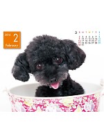 【ユニフォームのUnifice】2014年度カレンダー/2月A面の感想を記入する