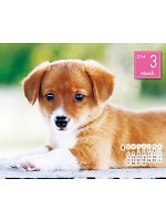 【ユニフォームのUnifice】2014年度カレンダー/3月A面の感想を記入する