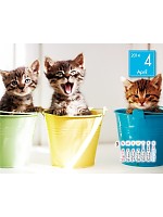 【ユニフォームのユニフィス】2014年度カレンダー/4月B面の感想を記入する