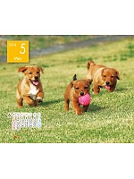 【ユニフォームのユニフィス】2014年度カレンダー/5月A面の感想を記入する