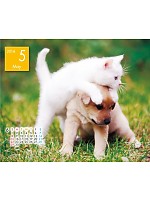 【ユニフォームのユニフィス】2014年度カレンダー/5月B面の感想を記入する