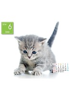 【ユニフォームのユニフィス】2014年度カレンダー/6月B面の感想を記入する