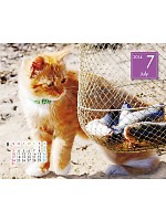 【ユニフォームのユニフィス】2014年度カレンダー/7月B面の感想を記入する