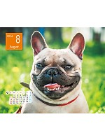 【ユニフォームのユニフィス】2014年度カレンダー/8月A面の感想を記入する