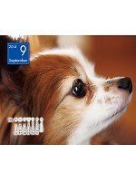 【ユニフォームのユニフィス】2014年度カレンダー/9月A面の感想を記入する