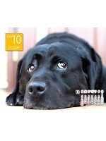 【ユニフォームのユニフィス】2014年度カレンダー/10月A面の感想を記入する