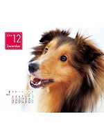 【ユニフォームのユニフィス】2014年度カレンダー/12月A面の感想を記入する