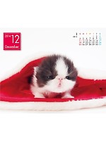 【ユニフォームのユニフィス】2014年度カレンダー/12月B面の感想を記入する