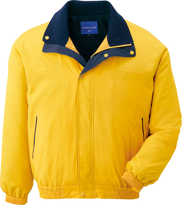 strtolower(JIT40710)写真2