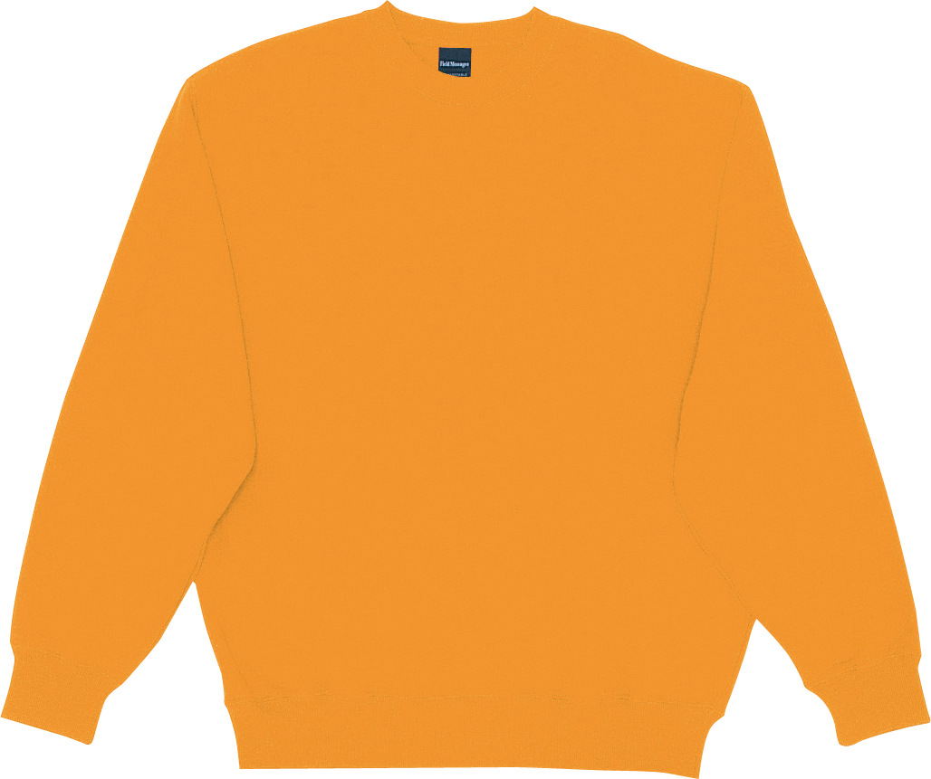 strtolower(JIT43674)写真3