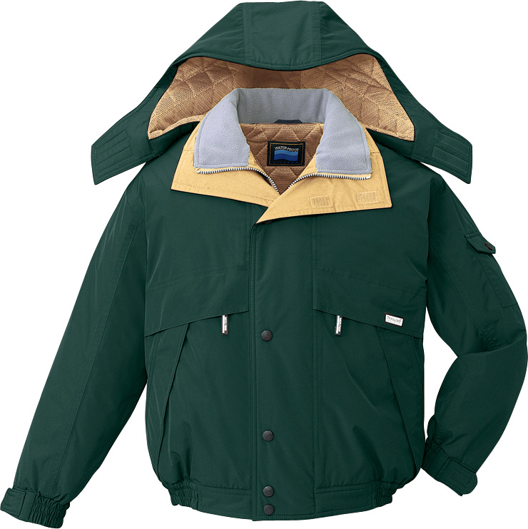 strtolower(JIT48230)写真2