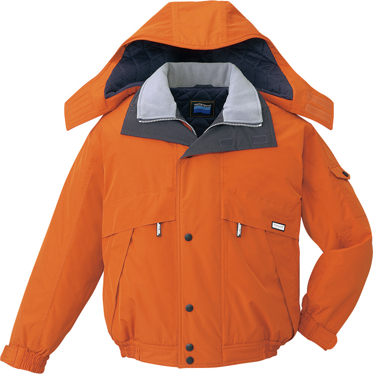 strtolower(JIT48230)写真3