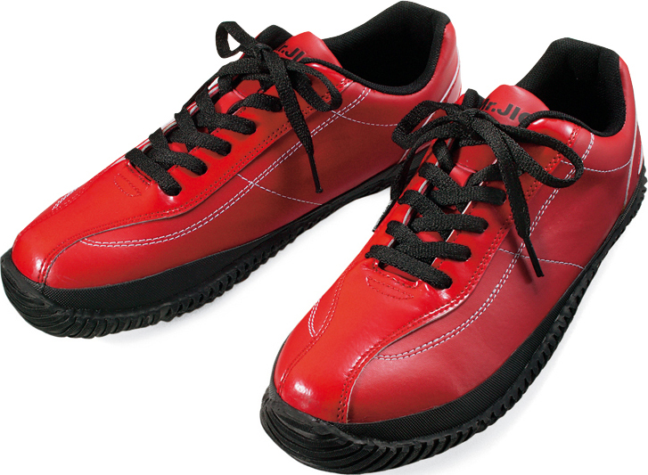 strtolower(JITS1101)写真1