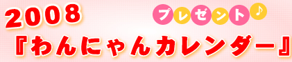 jtH[̂wi1~ȏj̊FlɁA2008uɂJ_[vv[głB