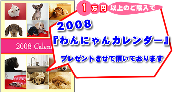 ijtH[̃jtBXɂājƕȂǂ̃jtH[1~ȏゲw܂qlɁA2008uɂJ_[vv[gĒĂ܂