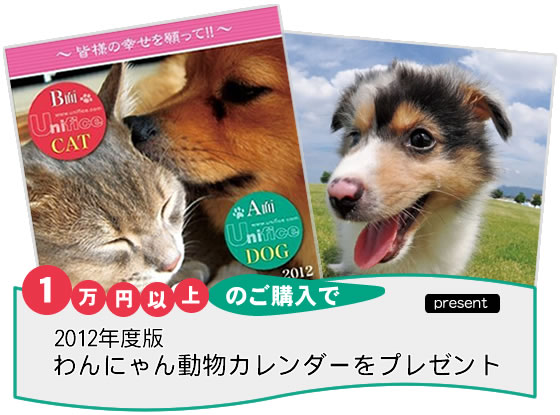 jtH[̃jtBXɂĎƕȂǂ̃jtH[1~ȏゲw܂qlɁAyjtH[̃jtBXz2012NxŁEɂ񓮕J_[v[gĒĂ܂