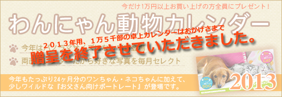 yjtH[̃jtBXz2013NxŁuɂ񓮕J_[vłBN̓pm}TCYɂȂĐVoBʃJ_[DȎʐ^𖈌ZNgB