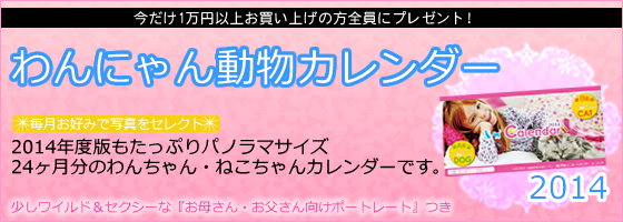 yjtH[̃jtBXz2014NxŁuɂ񓮕J_[vłBD݂Ŏʐ^ZNgB2014NxłՂpm}TCYB24̂񂿂E˂J_[łB