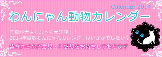 yjtH[̃jtBXz2014uɂ񓮕J_[vBʐ^傫ȂđD]IIB2014NxłɂJ_[͂łBFl̂ӌEz҂Ă܂B