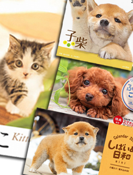 2017NEyjtH[̃jtBXzIWîɂ񓮕J_[