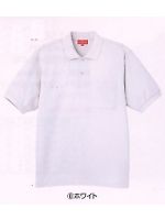 ĂƗpjtH[E|Vcigw1347j